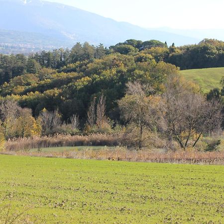Agriturismo La Ginestrella Civitella D'Arna Ngoại thất bức ảnh