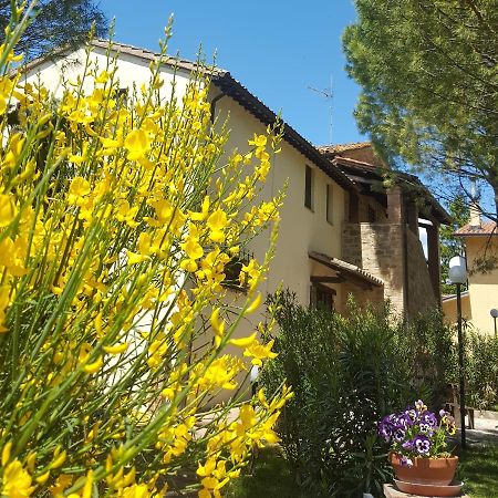 Agriturismo La Ginestrella Civitella D'Arna Ngoại thất bức ảnh
