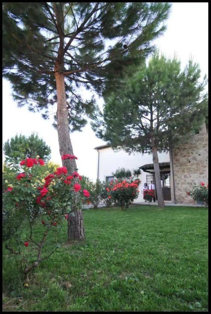 Agriturismo La Ginestrella Civitella D'Arna Ngoại thất bức ảnh