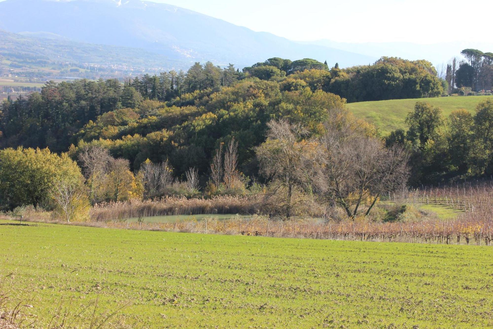 Agriturismo La Ginestrella Civitella D'Arna Ngoại thất bức ảnh