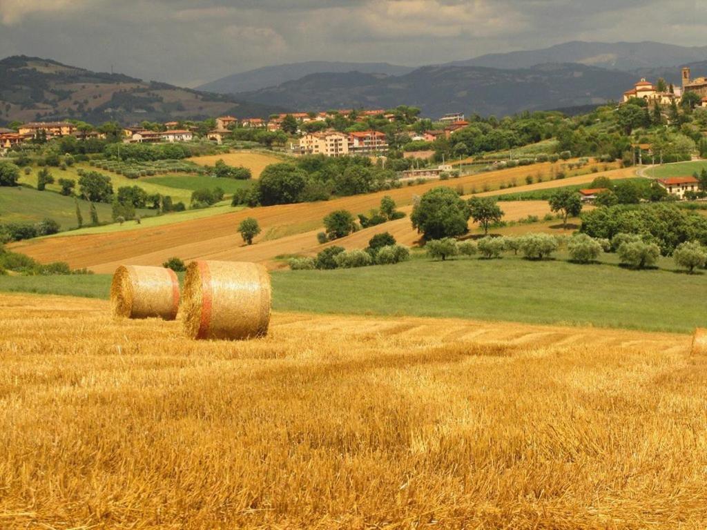 Agriturismo La Ginestrella Civitella D'Arna Ngoại thất bức ảnh