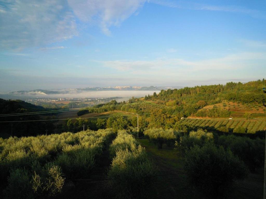Agriturismo La Ginestrella Civitella D'Arna Ngoại thất bức ảnh